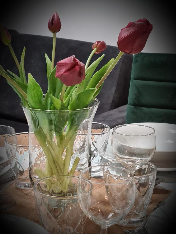 Apartment Nad Klifem W Dziwnowku
